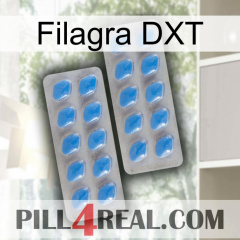 Filagra DXT 23